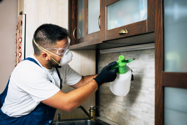Best Bed Bug Extermination  in Mount Dora, FL