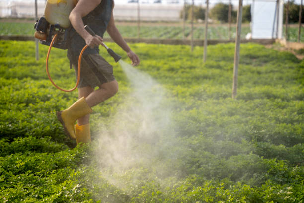 Best Residential Pest Control  in Mount Dora, FL
