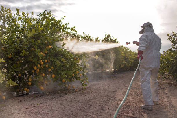  Mount Dora, FL Pest Control Pros
