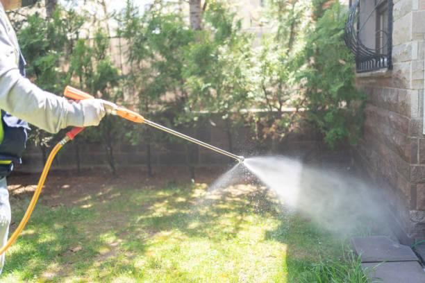 Spider Control Near Me in Mount Dora, FL