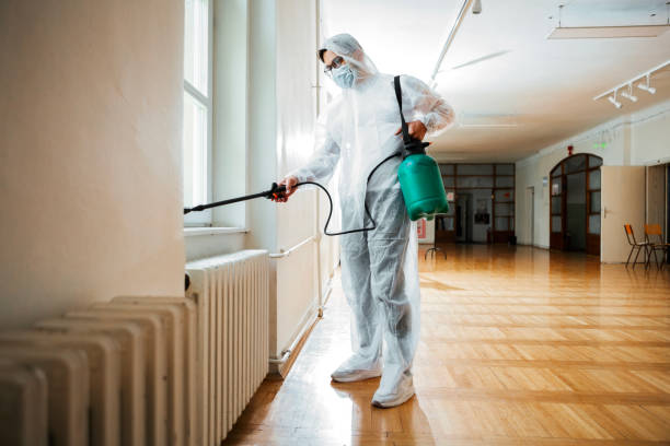 Best Pest Inspection Near Me  in Mount Dora, FL